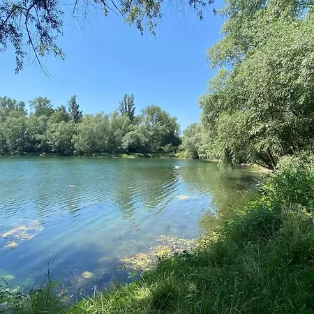 Residenz Am Rhein 2 아파트 *
