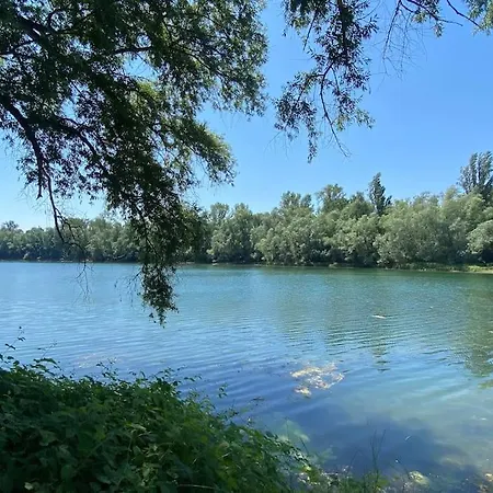 Residenz Am Rhein 2 아파트 비비스하인